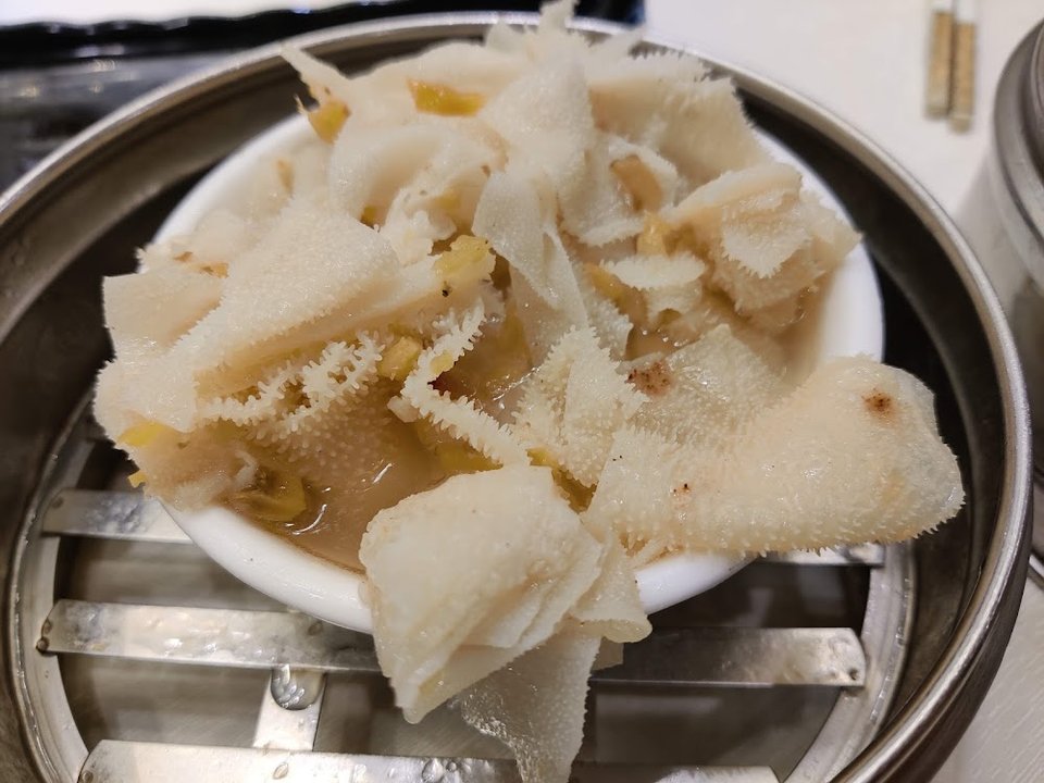 Chilled Jelly Fish